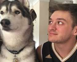 Quo had a cute dog in his home who died in July of 2017.